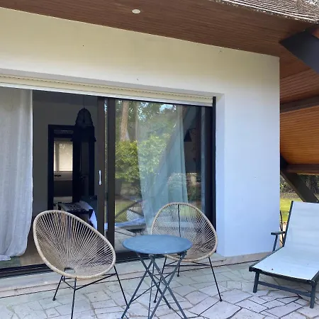Palmiers Avec Salle De Bains Et Mini Kitchenette Le Touquet